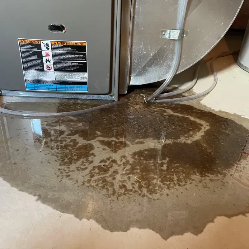 Appliance Leak Cleanup in Crawford County, IL